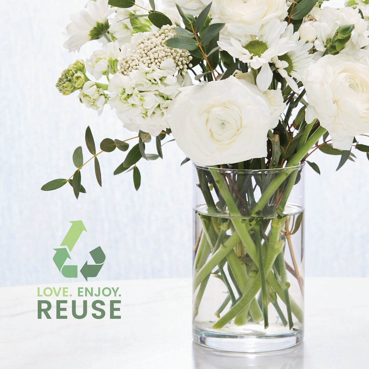 Catching Rays™