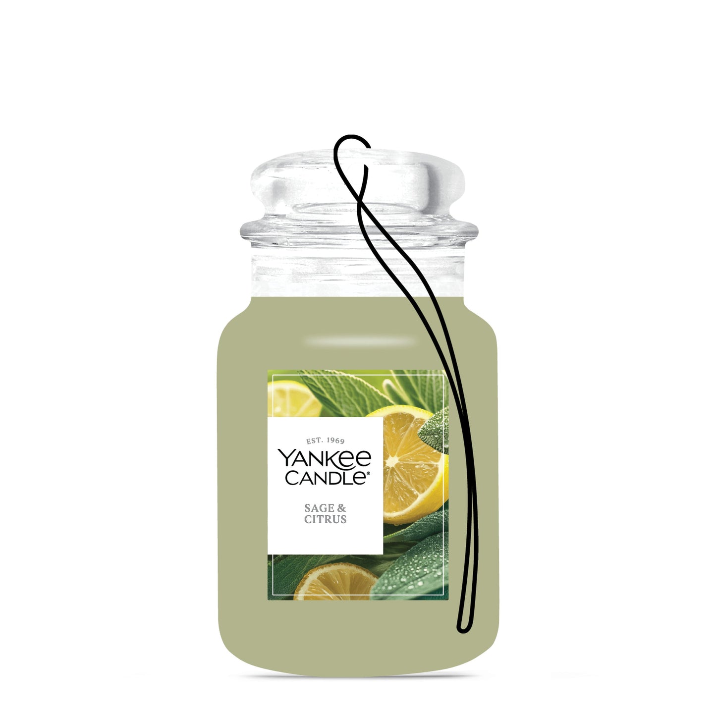 Sage & Citrus Wave 6-0335